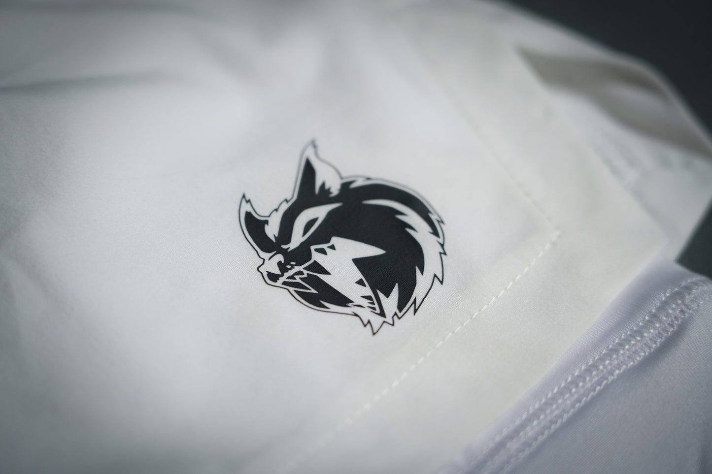 “We Are Infinite” (Sabyrlite+) Compression Shorts (Frost)