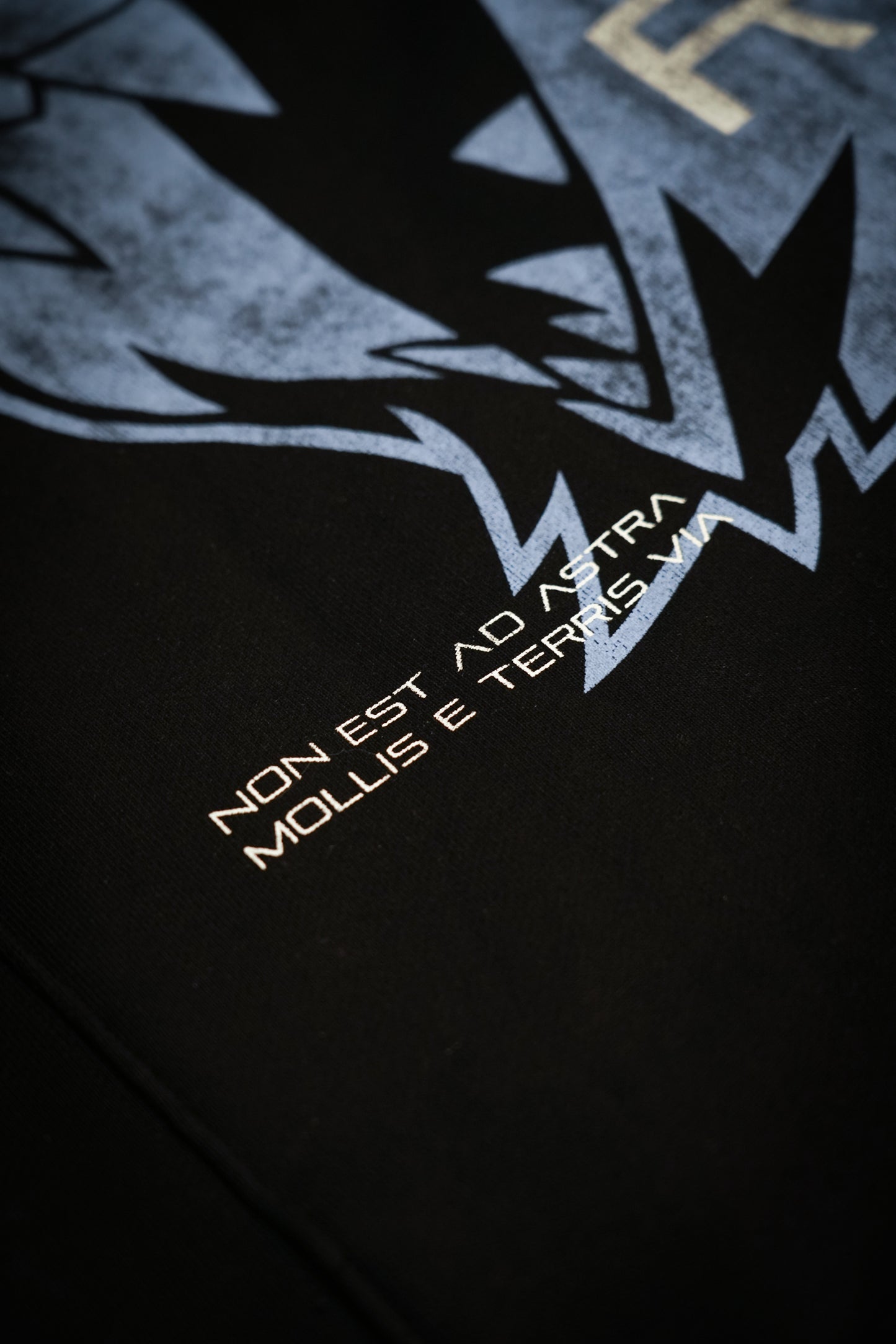 “We Are Infinite” (Premier FT) Oversized Jumper (Obsidian/Glacier)